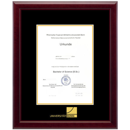 University of Bonn diploma/degree frame solid wood customization