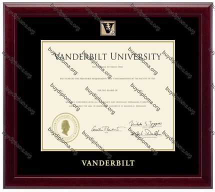 Vandy(Vanderbilt University) diploma/degree frame solid wood customization