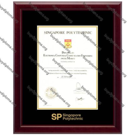 SP (Singapore Polytechnic) diploma/degree frame solid wood customization