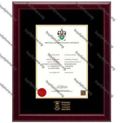 Swansea(Swansea University) diploma/degree frame solid wood customization