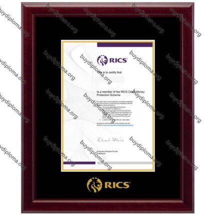 RICS diploma/degree frame solid wood customization