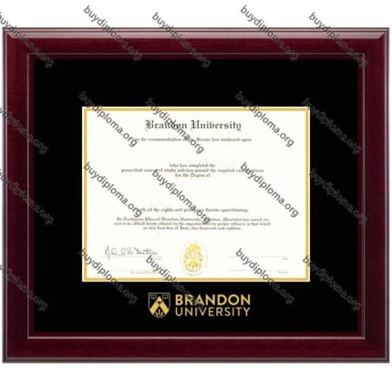 ( Brandon University ) diploma/degree frame solid wood customization