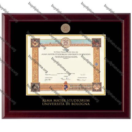 Unibo (Università di Bologna) diploma/degree frame solid wood customization