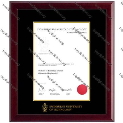 SUT(Swinburne University of Technology) diploma/degree frame solid wood customization