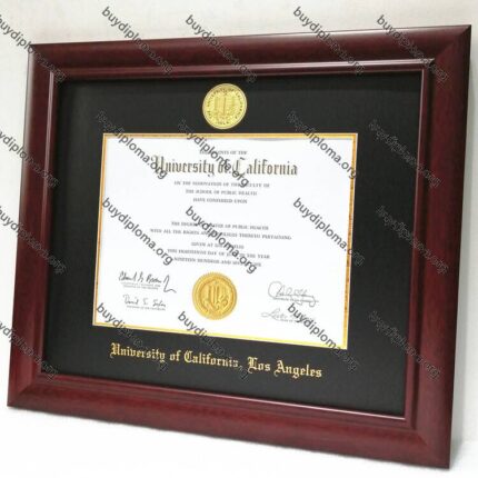 UCLA (University of California, Los Angeles) diploma/degree frame solid wood customization
