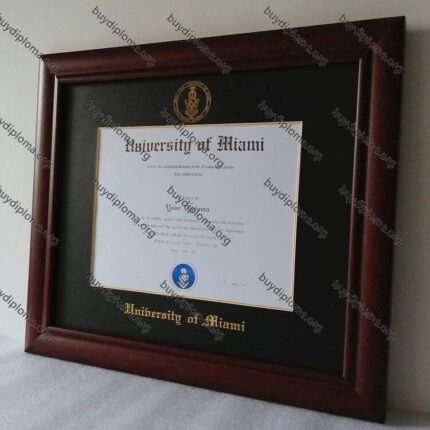 UM (University of Miami) diploma/degree frame solid wood customization