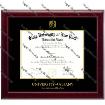 UAlbany (SUNY University at Albany) diploma/degree frame solid wood customization
