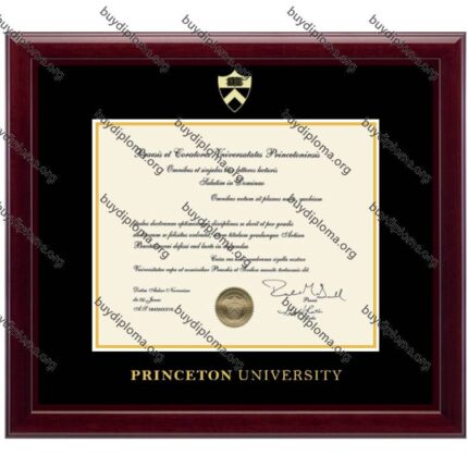 Princeton University diploma/degree frame solid wood customization