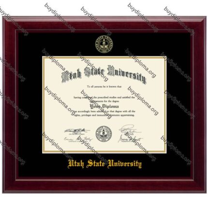 USU(Utah State University) diploma/degree frame solid wood customization