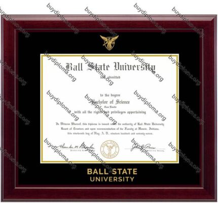 BSU (Ball State University) diploma/degree frame solid wood customization