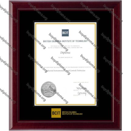 BCIT (British Columbia Institute of Technology) diploma/degree frame solid wood customization