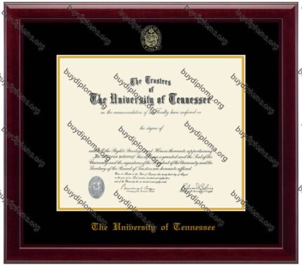 UT (University of Tennessee) diploma/degree frame solid wood customization