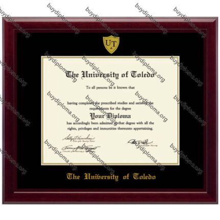 UT (University of Toledo) diploma/degree frame solid wood customization
