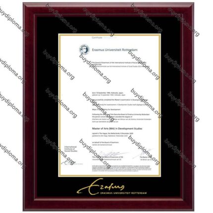 EUR (Erasmus Universiteit) diploma/degree frame solid wood customization