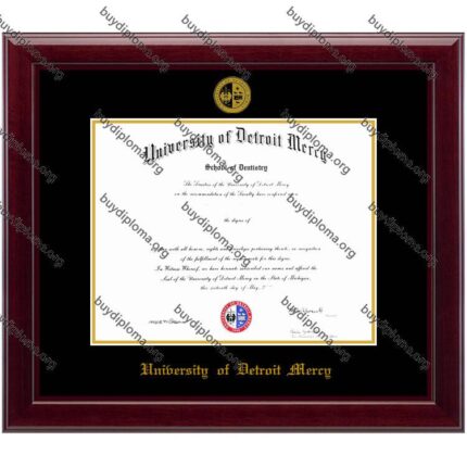 UDM (University of Detroit Mercy) diploma/degree frame solid wood customization