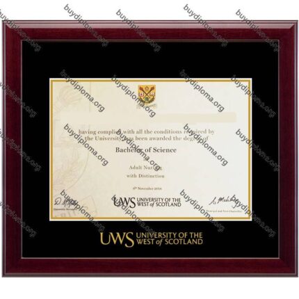 UWS (University of West of Scotland) diploma/degree frame solid wood customization