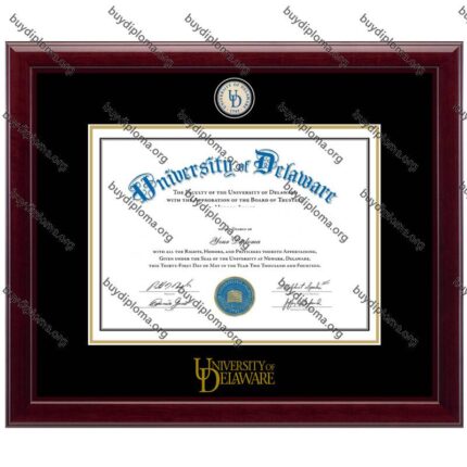 UDel (University of Delaware) diploma/degree frame solid wood customization