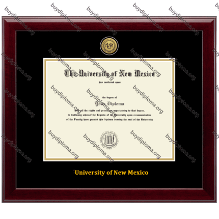 UNM (The University of New Mexico) diploma/degree frame solid wood customization