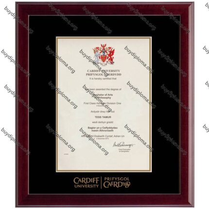 Cardiff University diploma/degree frame solid wood customization